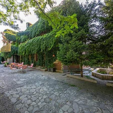 بيت شباب Legjenda