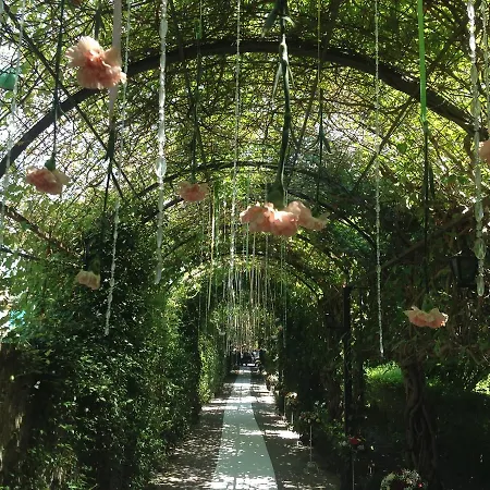 بيت شباب Legjenda