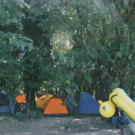 Legjenda * Shkodër